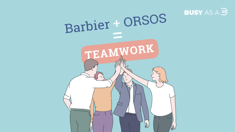 ORSOS Project Manager translation of electoral material